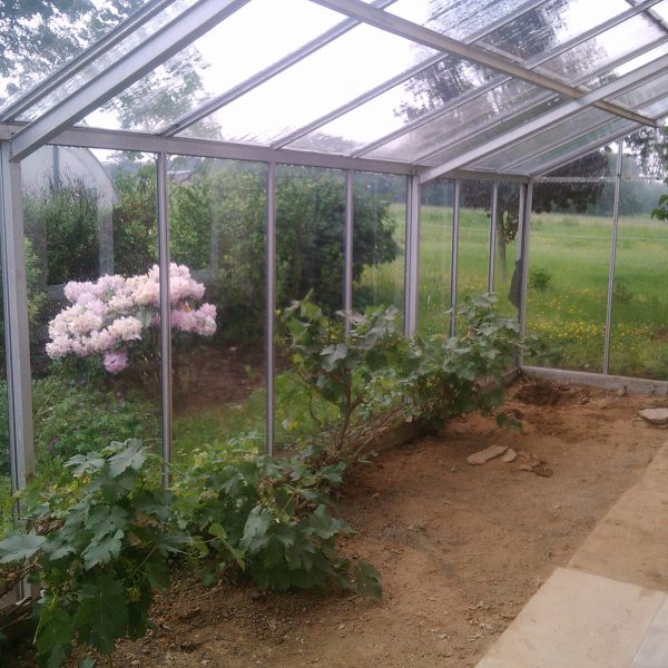 Serre du gîte Aux prés de mon père